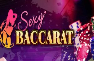 SEXY baccarat